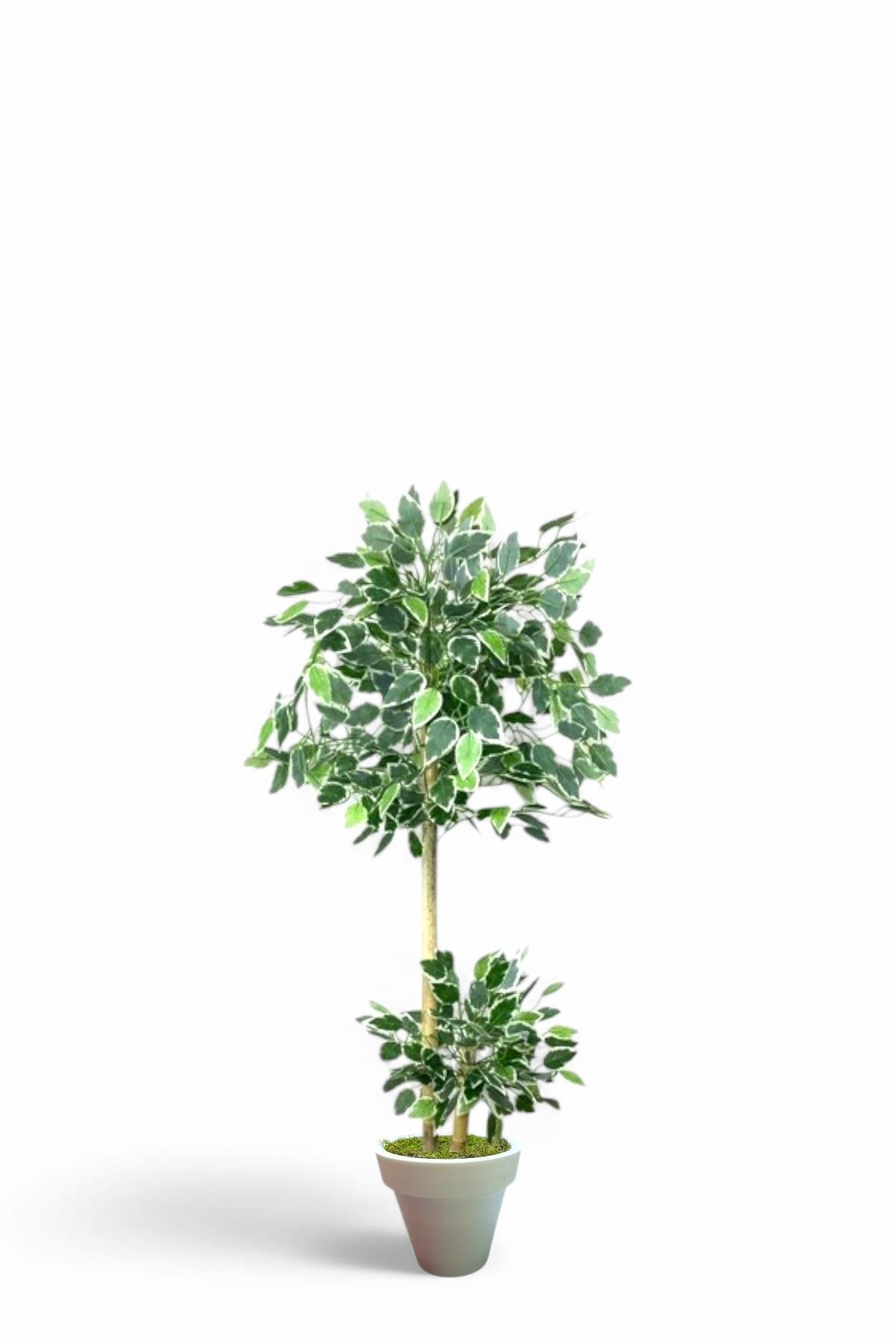 120 cm ficus yapay ağaç bambu 2 gövdeli beyaz plastik saksı 