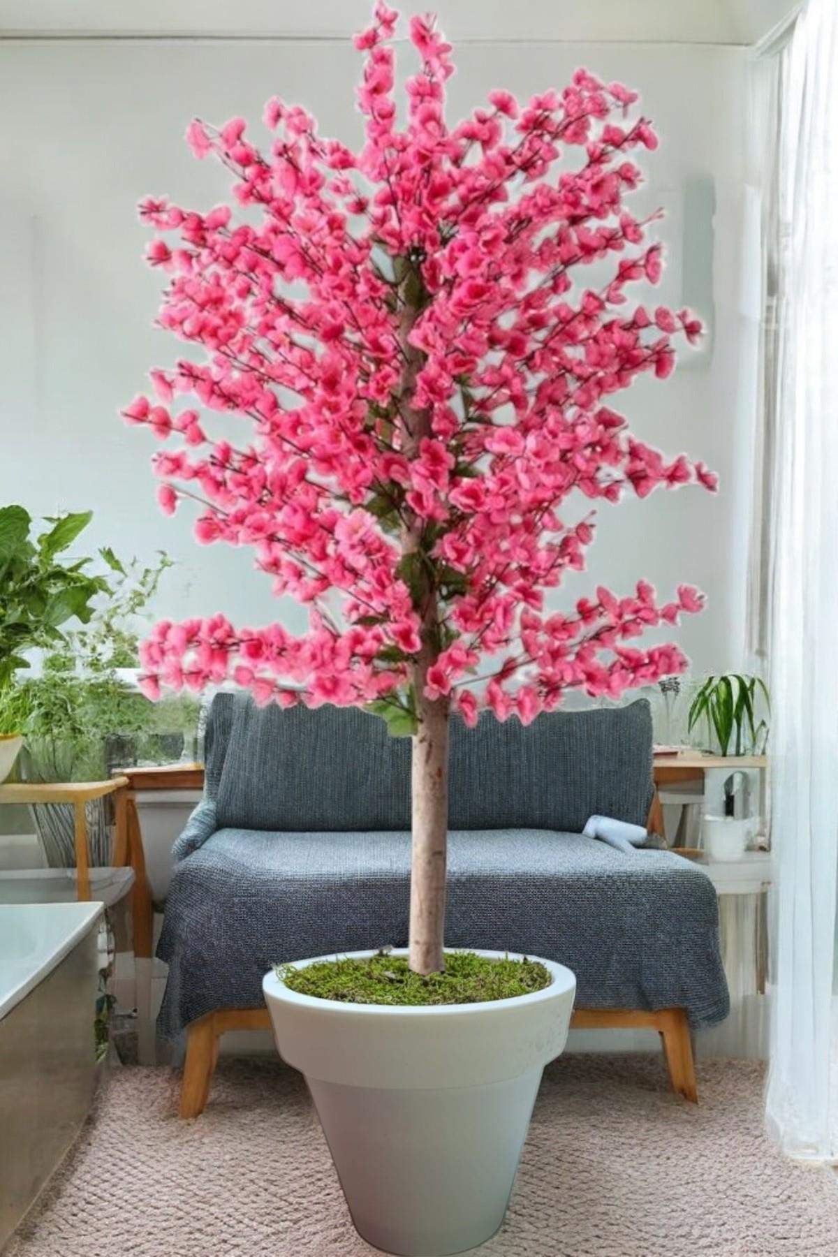 pembe bahar dalı kiraz çiçegi sakura 81 dal  dogal gövdeli beyaz plastık saksı