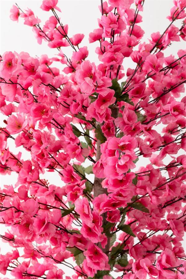 pembe bahar dalı kiraz çiçegi sakura 81 dal  dogal gövdeli beyaz plastık saksı