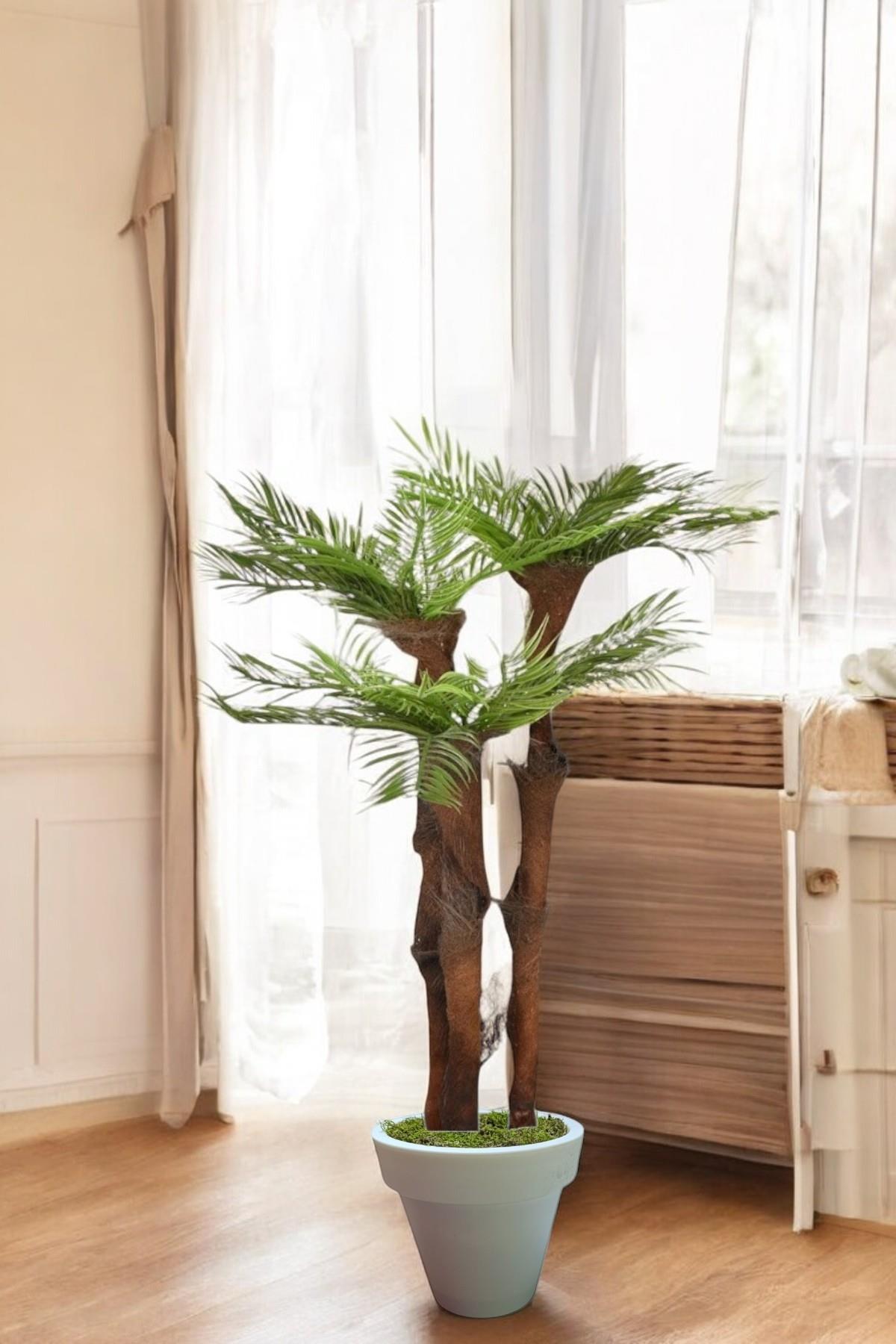yapay ağaç 3 gövdeli liflli areka dogal gövdeli beyaz plastık saksı