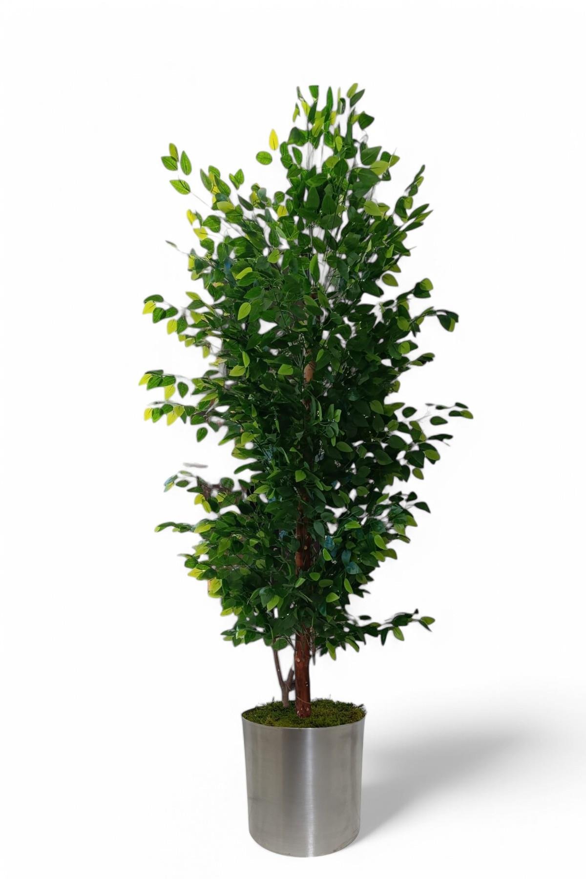 Yapay ağaç benjamin ıslak doku 180 cm metal  saksı