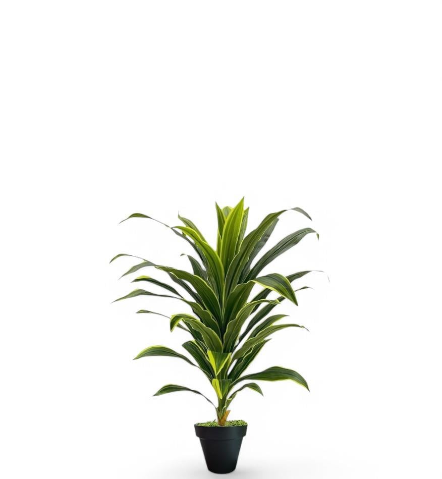Yapay Dracaena Fragrans ağaç 120 cm siyah plastik saksı