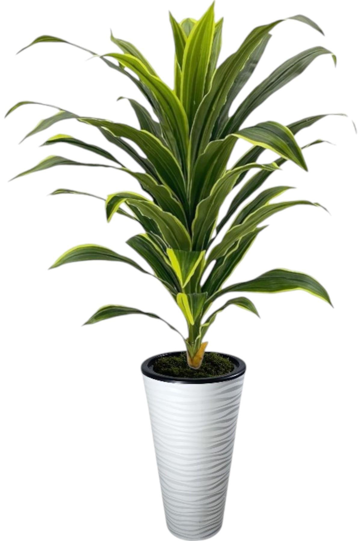 Yapay Dracaena Fragrans ağaç 160  cm kumsal saksı