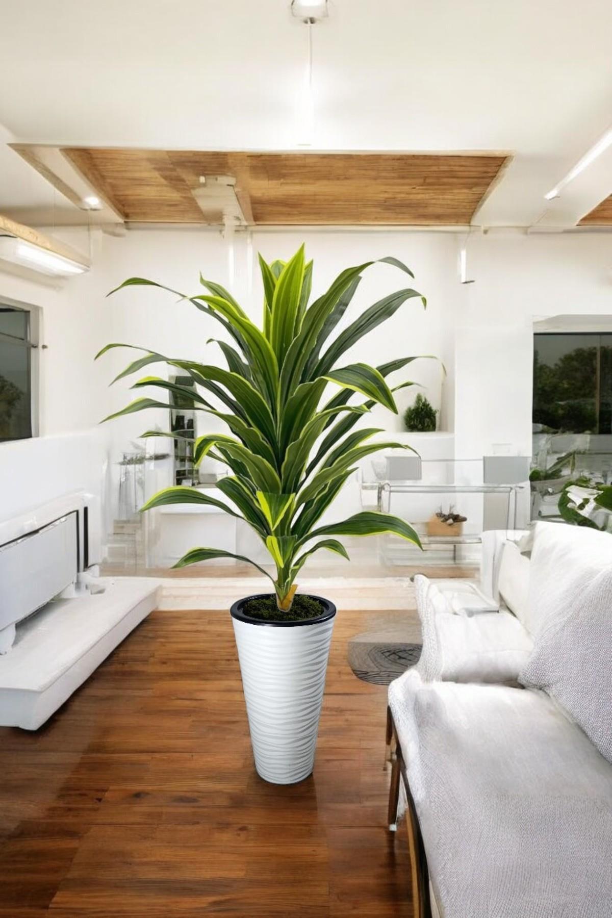 Yapay Dracaena Fragrans ağaç 160  cm kumsal saksı