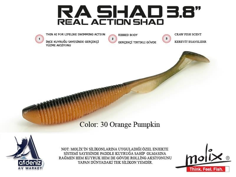 Molix RA Real Action Shad 3.8