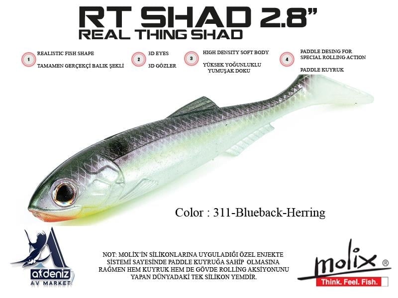 Molix RT Real Thing Shad 2.8'' 7cm. #311 Blue Back Herring (6 pcs)