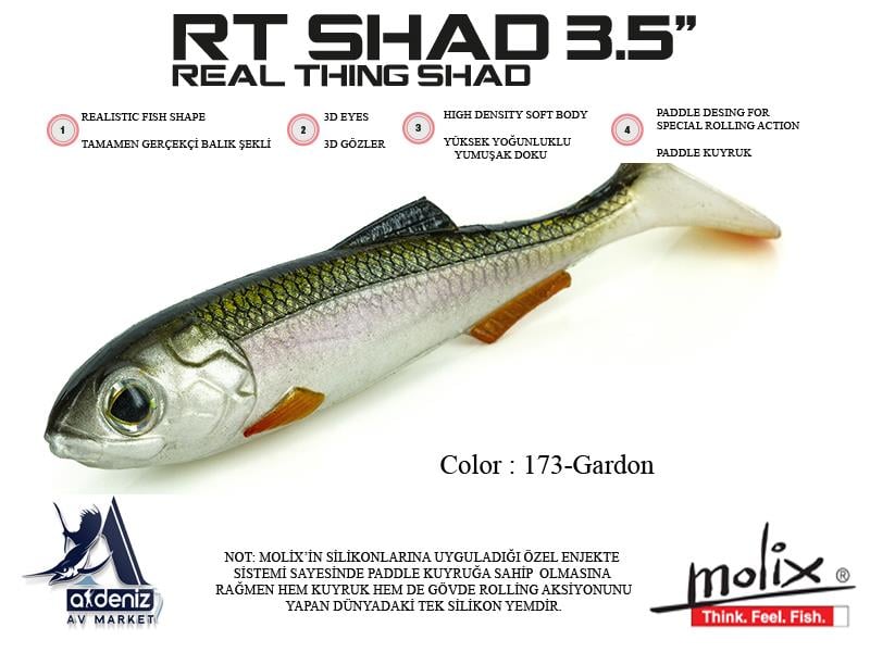 Molix RT Real Thing Shad 3.5