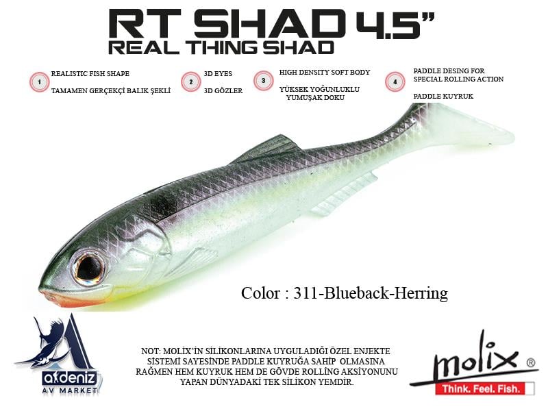 Molix RT Real Thing Shad 4.5