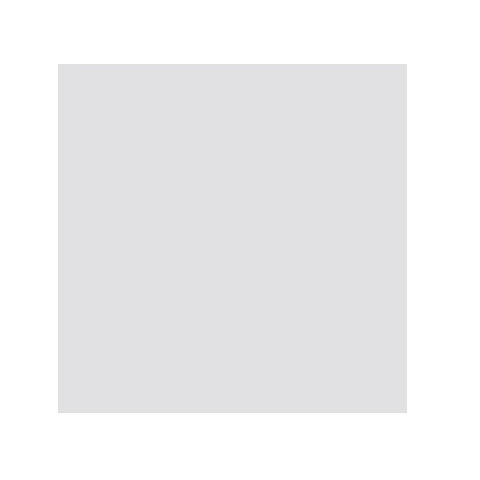 Vitra 20X20 Ral 7047 Mat R10B Nr