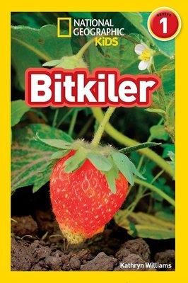 Bitkiler