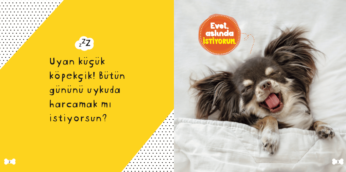 Çok tatlı yavru köpekler