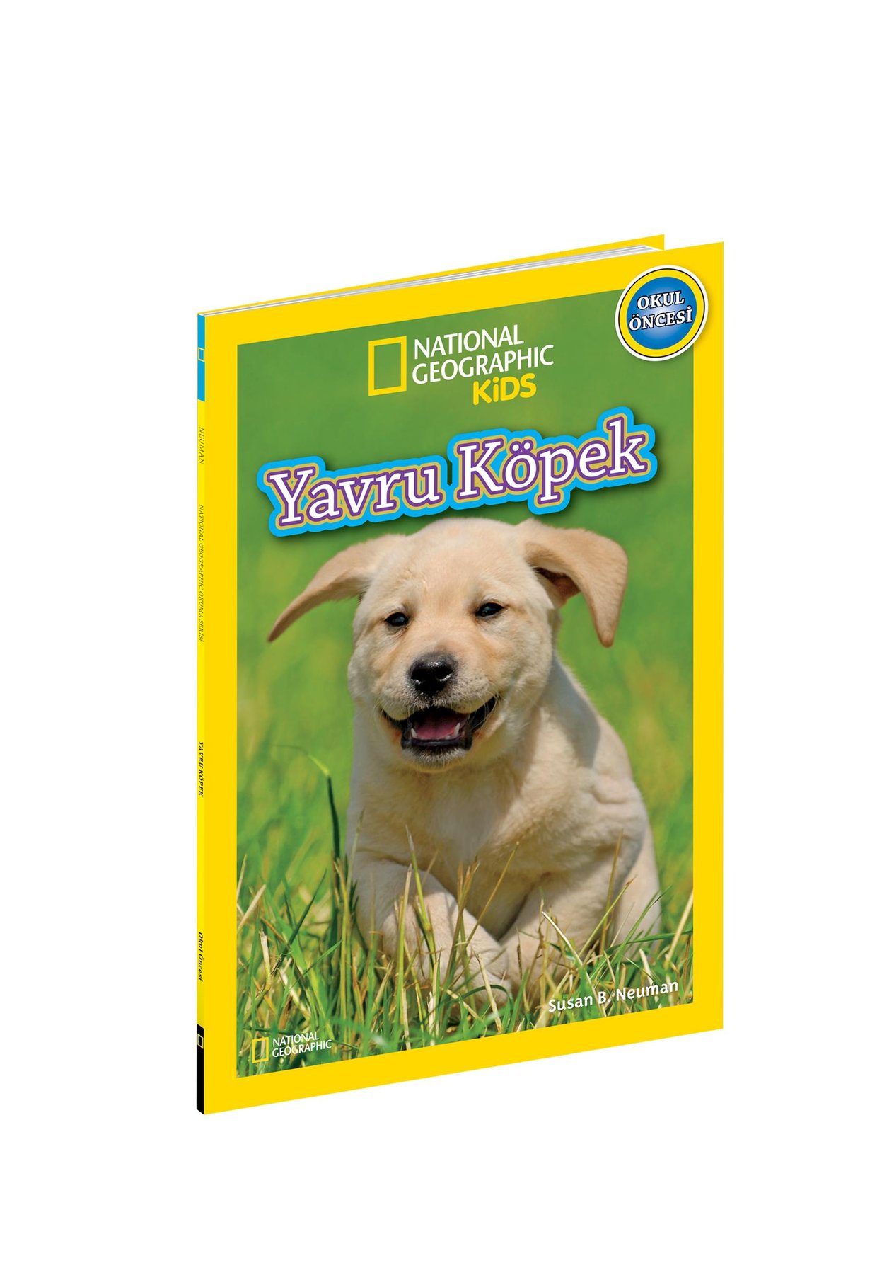 Çok tatlı yavru köpekler