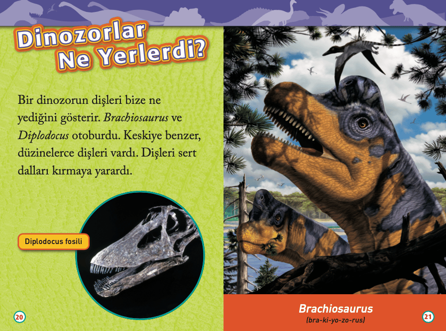 Dinozorlar