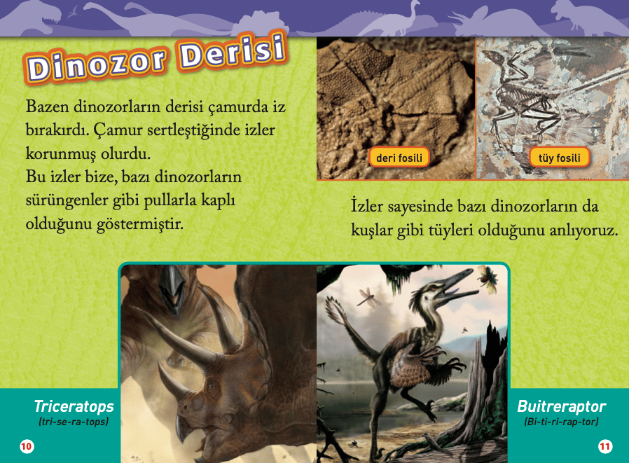 Dinozorlar