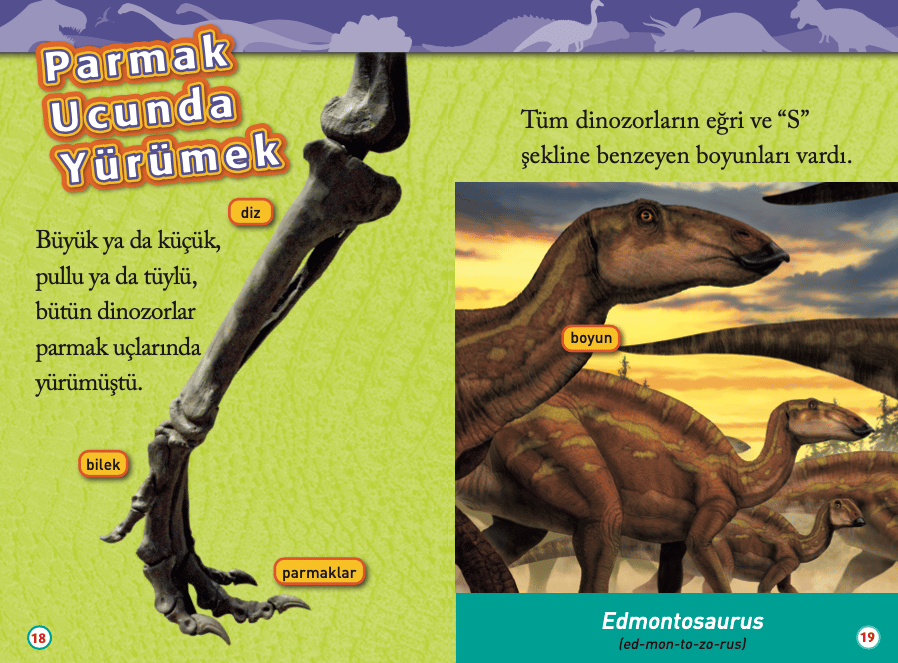 Dinozorlar