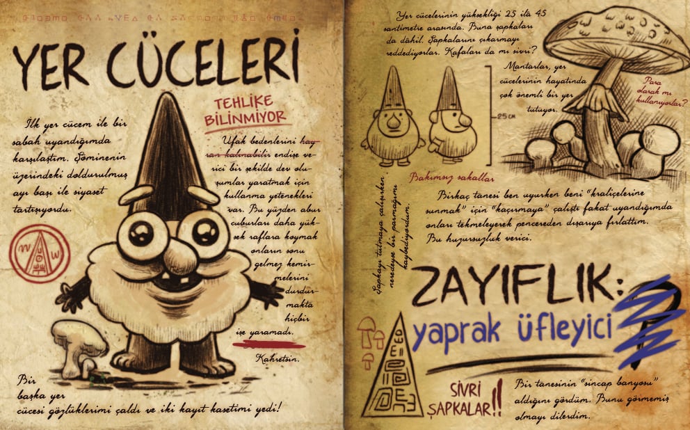 Disney Esrarengiz Kasaba Günlük 3
