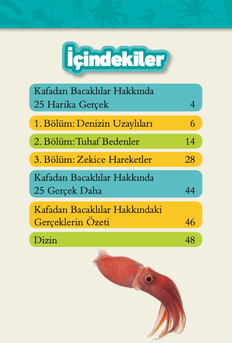 Kafadan Bacaklılar