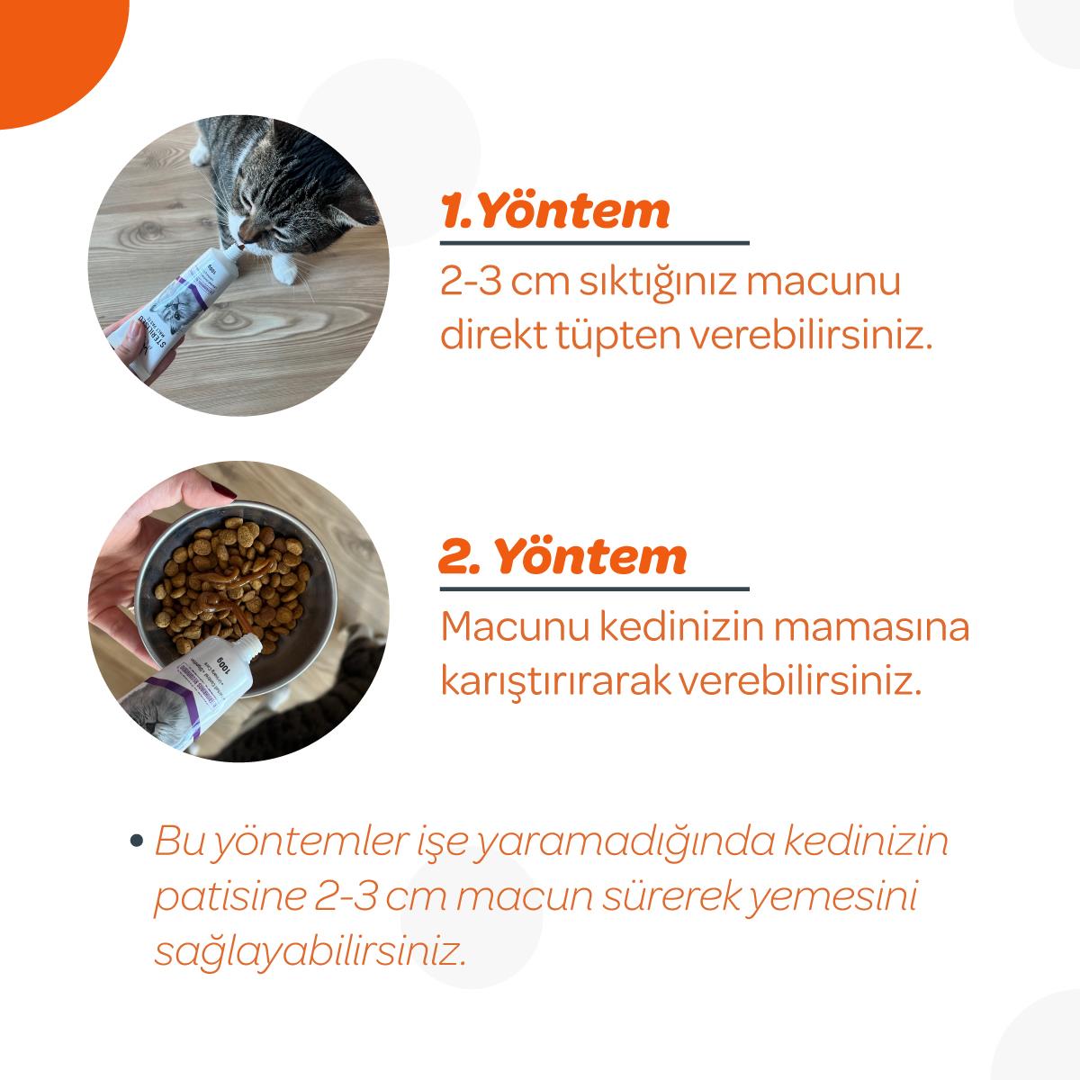 Vets Plus Multi-Vitamin Taurinli Malt Kedi Macunu 100gr