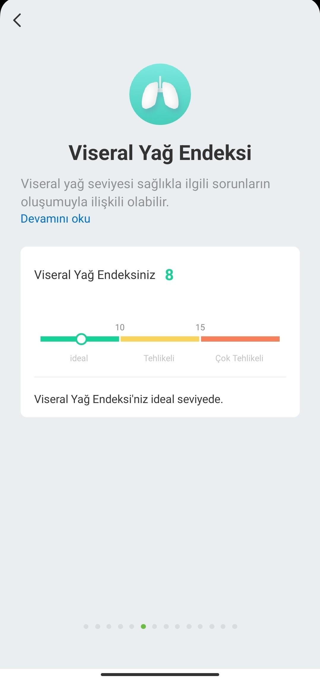 Akıllı Yağ Ölçer Bluetooth Tartı