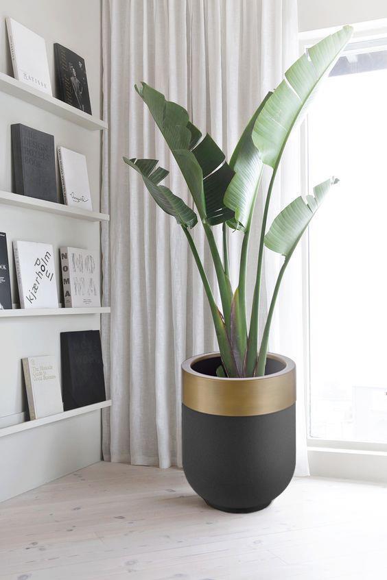 The Mia Saksı Gold Eskitme 60 Cm