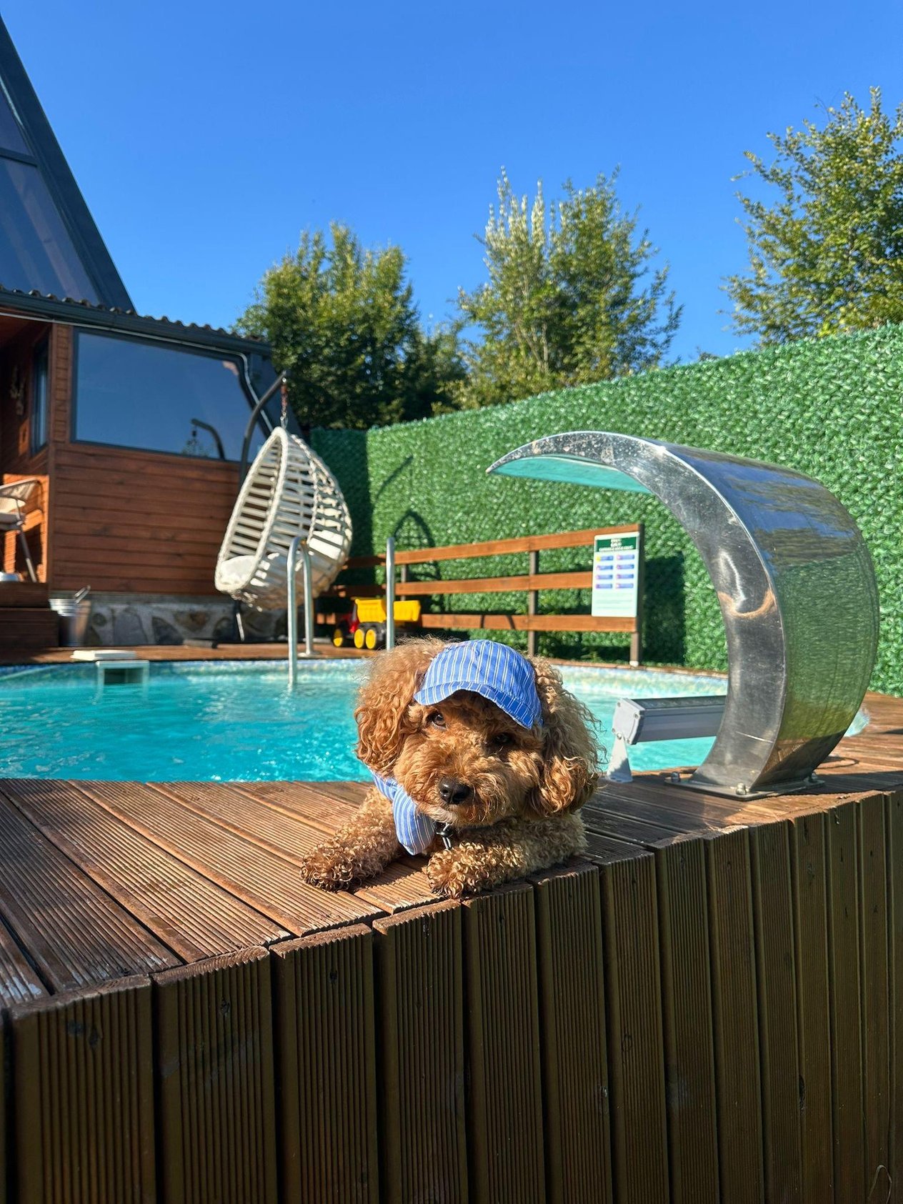 Çizgili Kep Kedi Köpek Şapkası