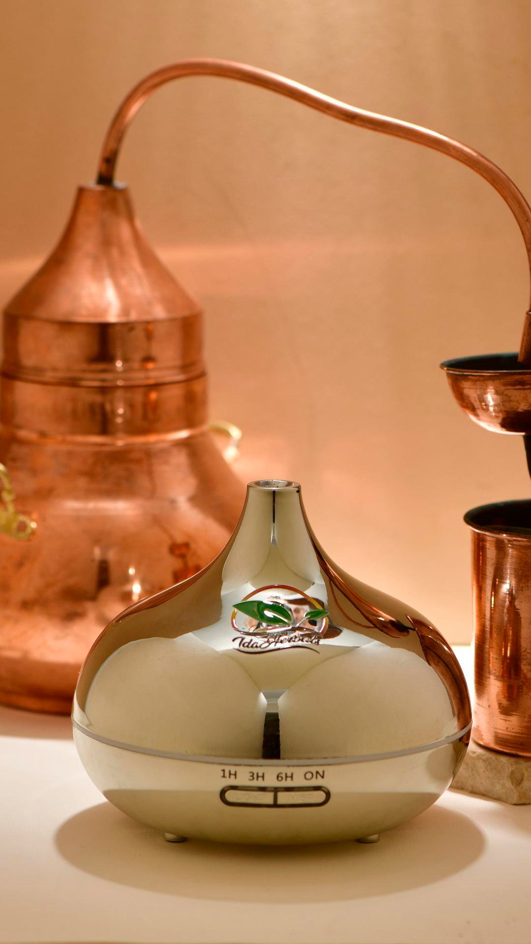 GÜMÜŞ ELEKTİRİKLİ AROMATERAPİ DİFÜZÖRÜ 500 ML