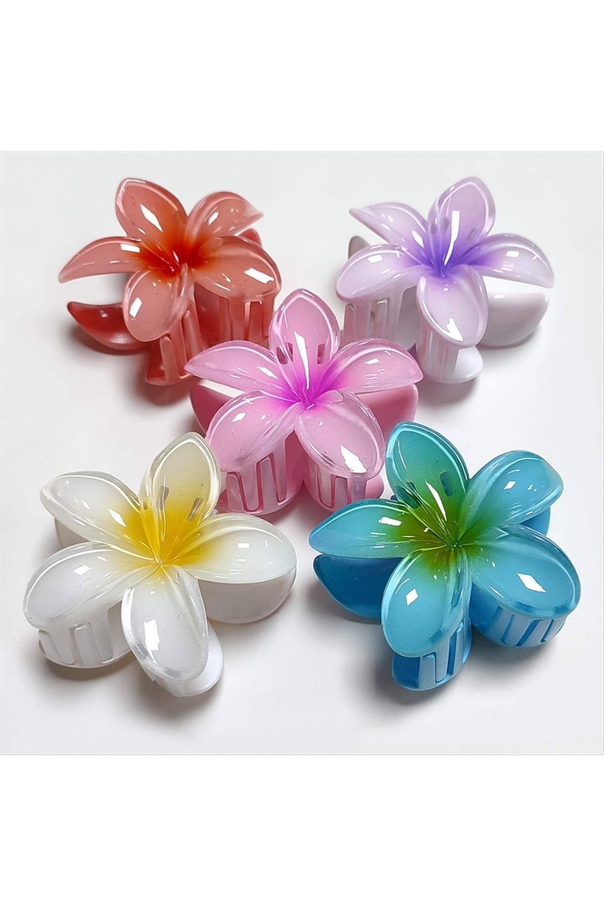 Lotus Toka 8 cm Orta Boy