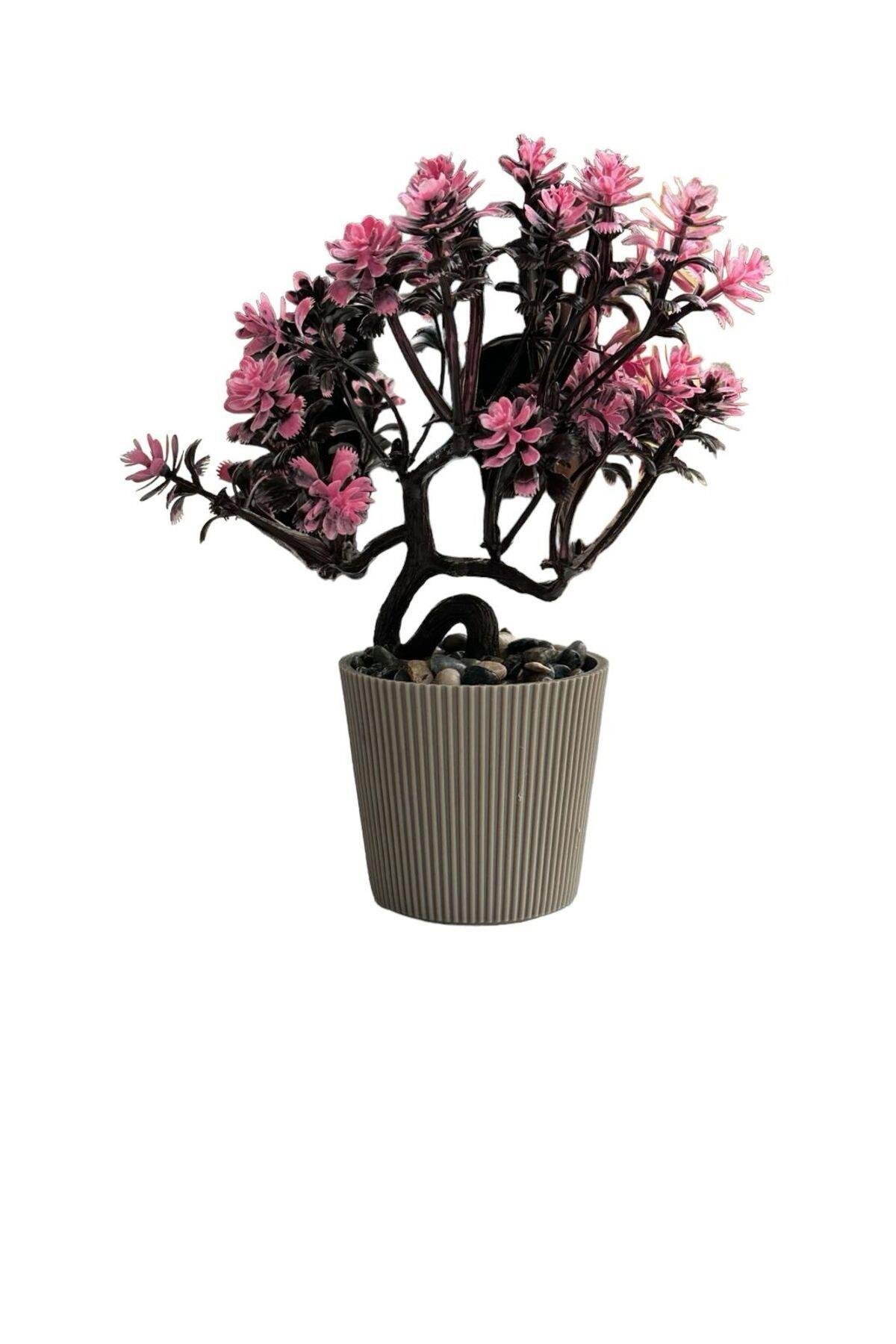 Küçük Saksı Yapraklı Pembe Ağaç