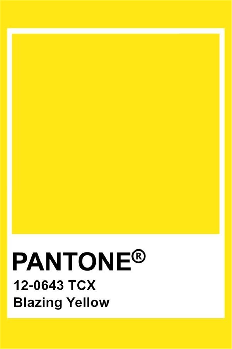 BRADY BRD-Y6088 YELLOW VINLY 1.0X50