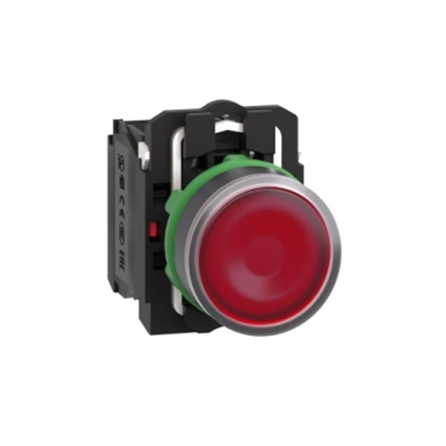SCHNEIDER SCHXB5AW34M5 220V ILLUMINATED PUSHBUTTON