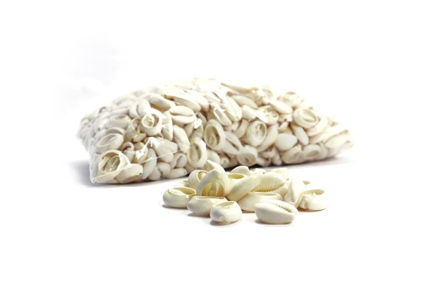 Deniz Kabuğu Krem Rengi1Kg