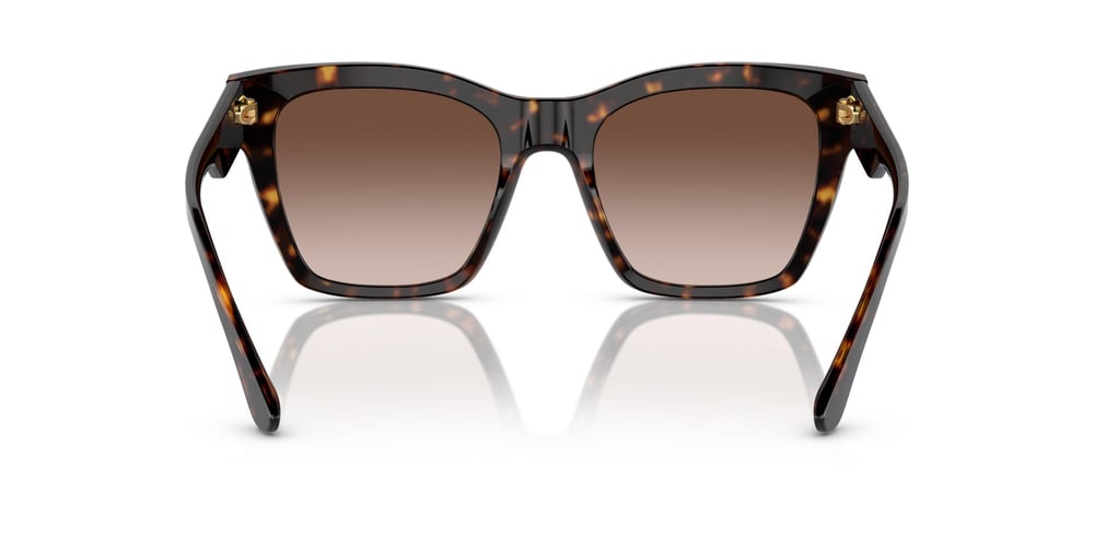 DOLCE&GABBANA DG 4384 502/13 53
