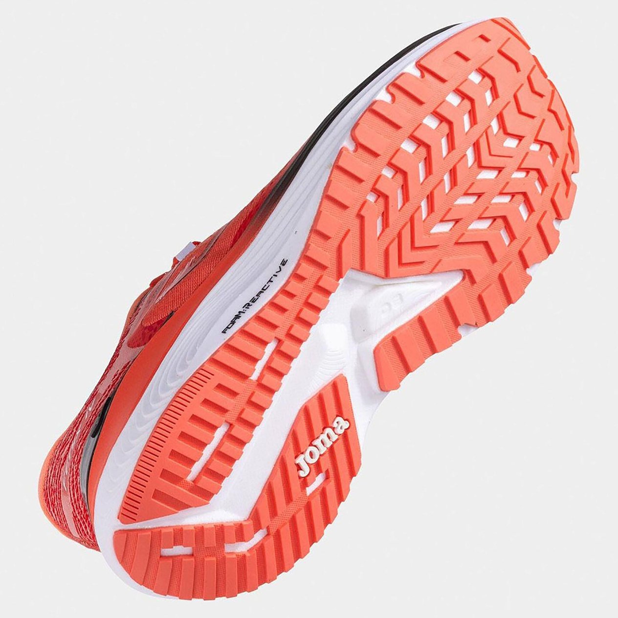FENIX MEN 2507 CORAL