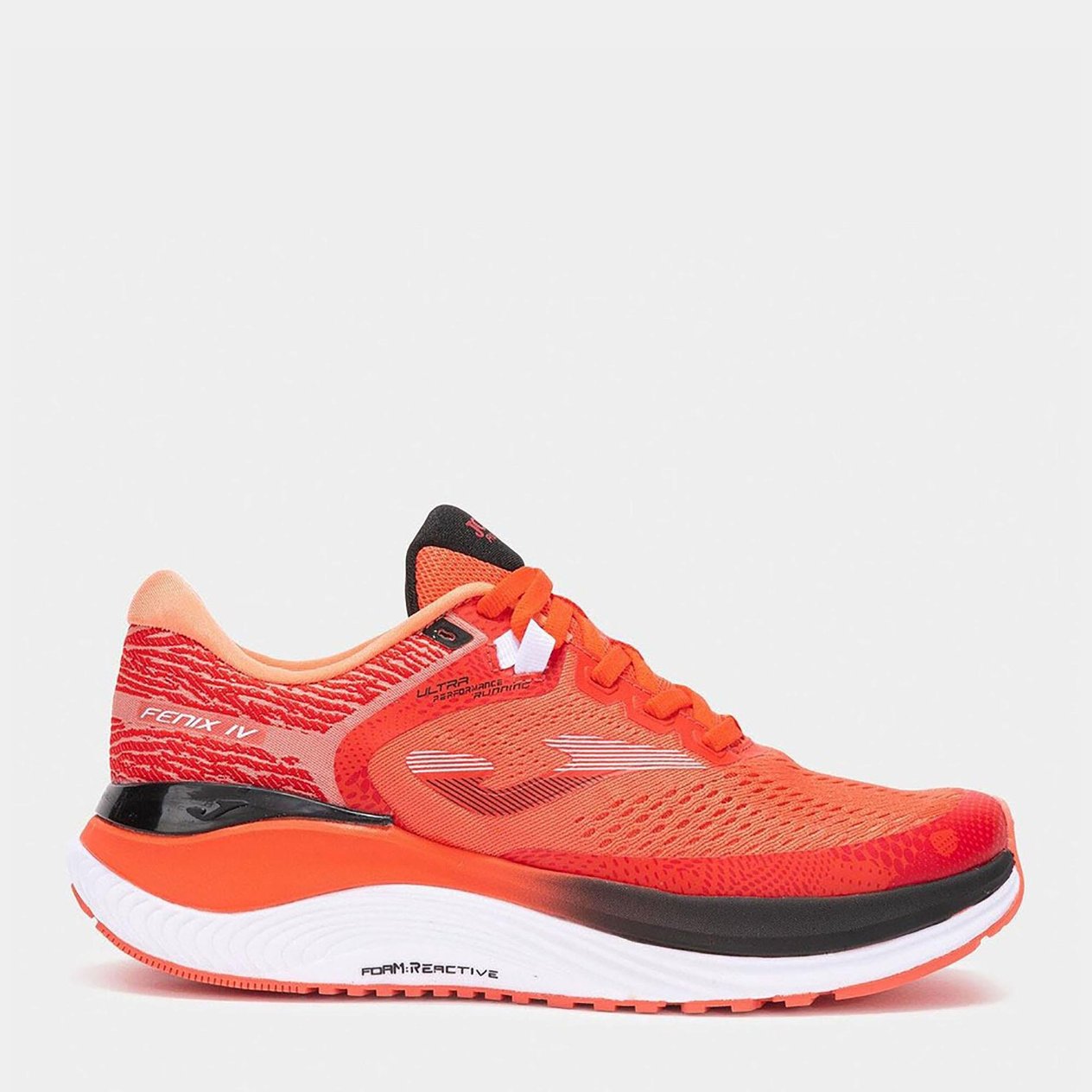 FENIX MEN 2507 CORAL