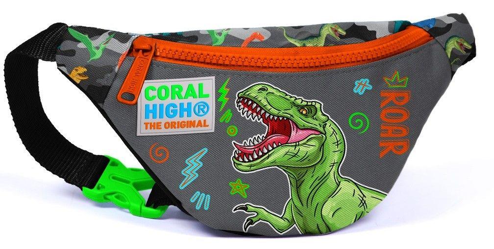 Coral High Gri Yeşil Dinazor USB Soketli Beşli Okul Çantası Seti - Erkek Çocuk