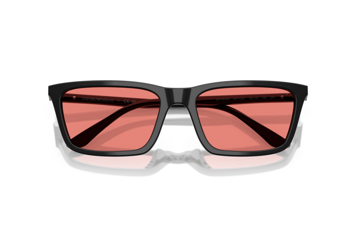 EMPORIO ARMANI 4239U 501784 55