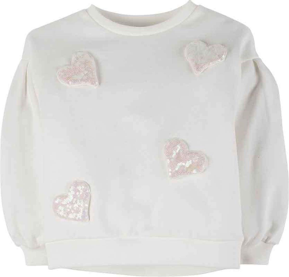 Sweatshirt 17947