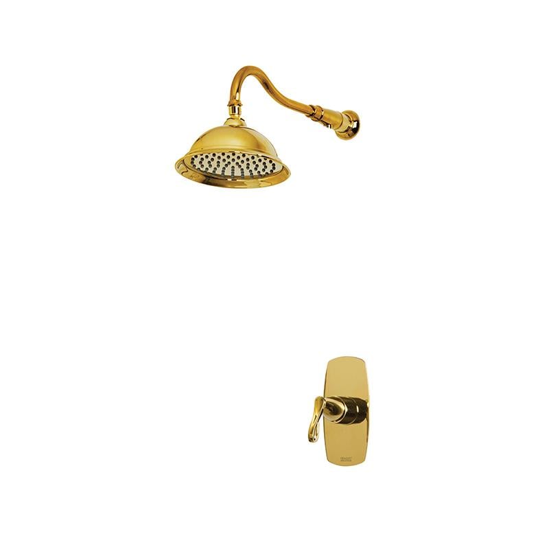 NEWARC GOLDEN ANKASTRE DUŞ BATARYASI ALTIN