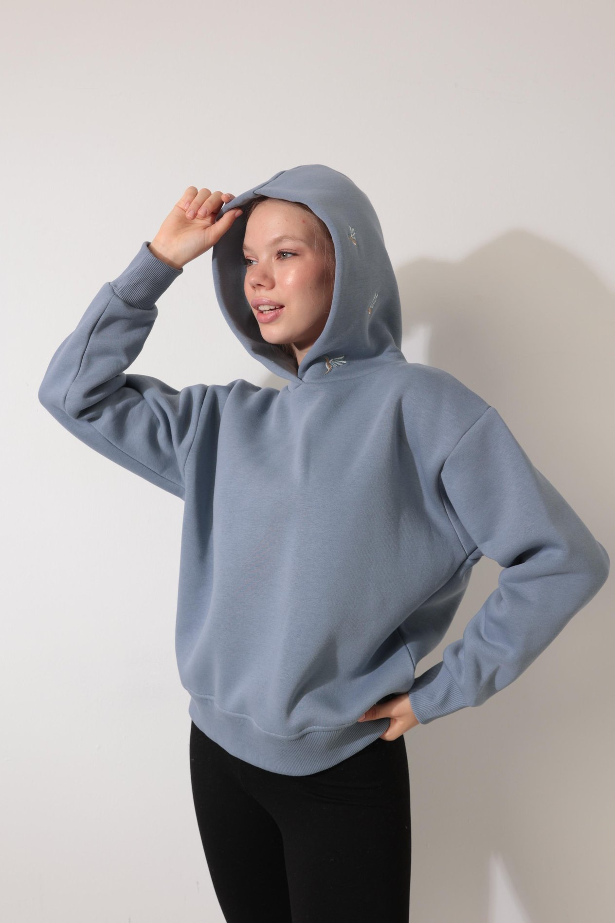 Mavi Sırtı ve Kapüşonu Ankakuşu Nakış İşlemeli Kapüşonlu Sweatshirt - 2437