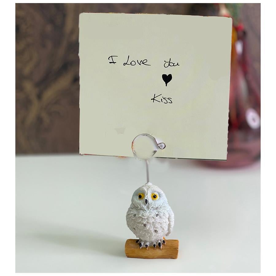 Harry Potter Baykuş Hedwig Notluk