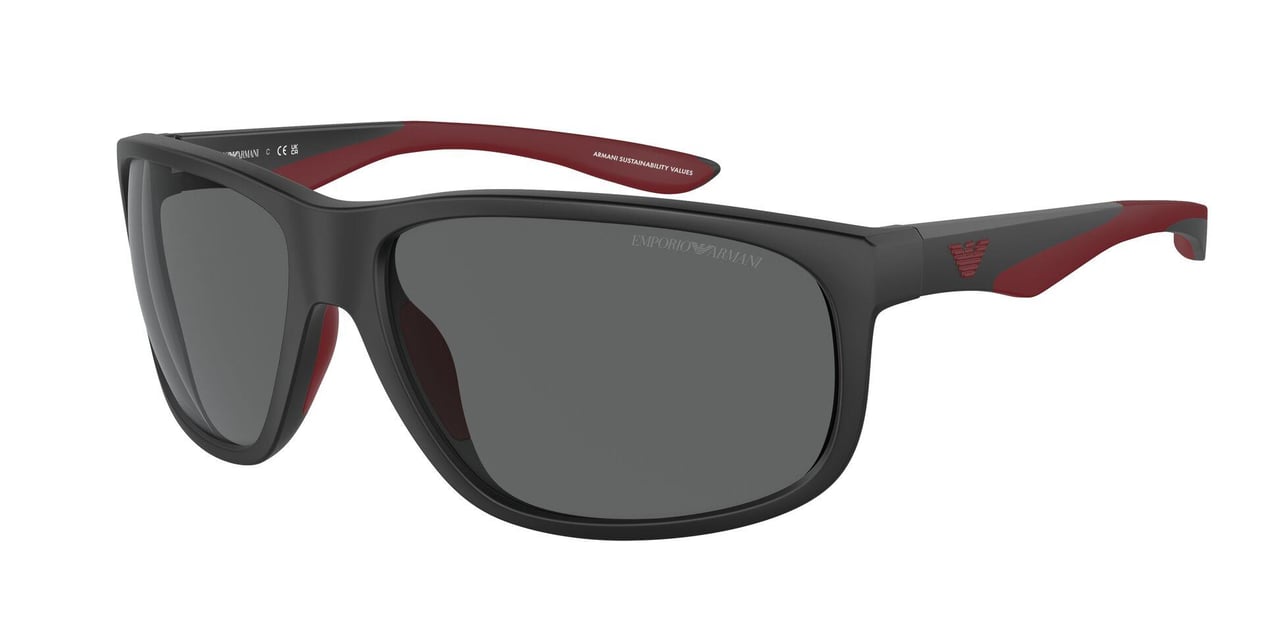 EMPORIO ARMANI 4199 U500187 65 Güneş Gözlüğü