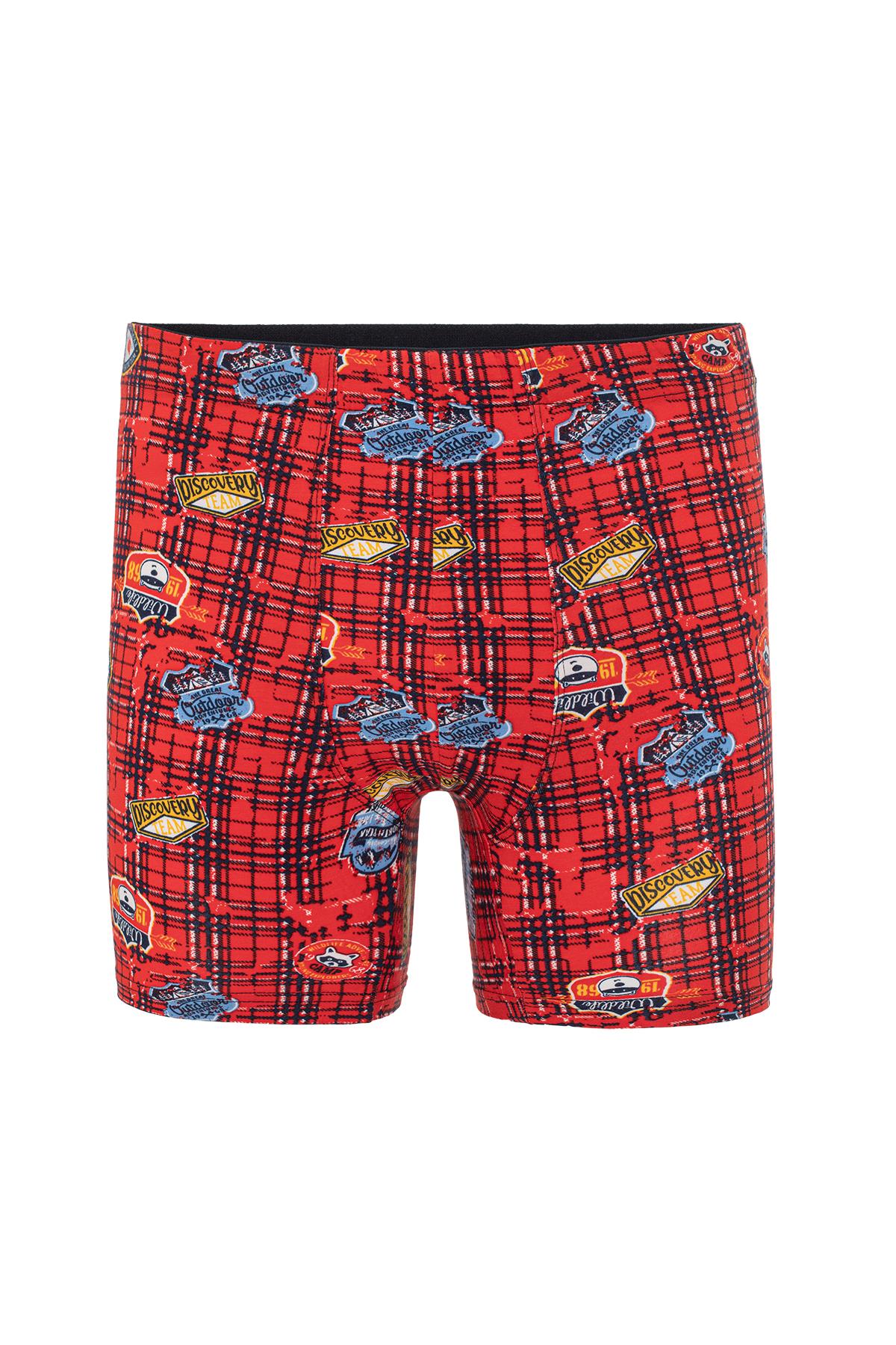Erkek Karışık Desenli 3’Lü Boxer - 23652