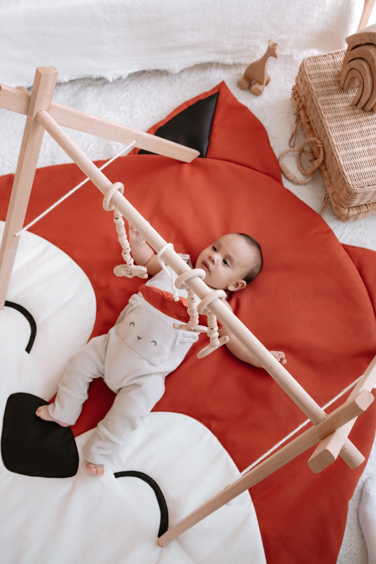 Reynard Play Mat + GYM