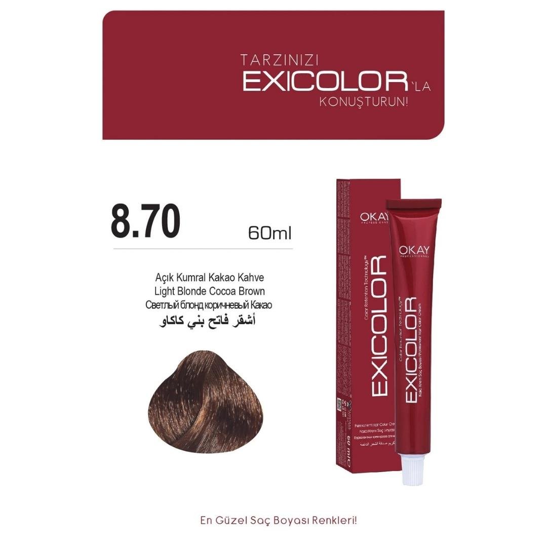 Exıcolor Tüp Boya 8-70