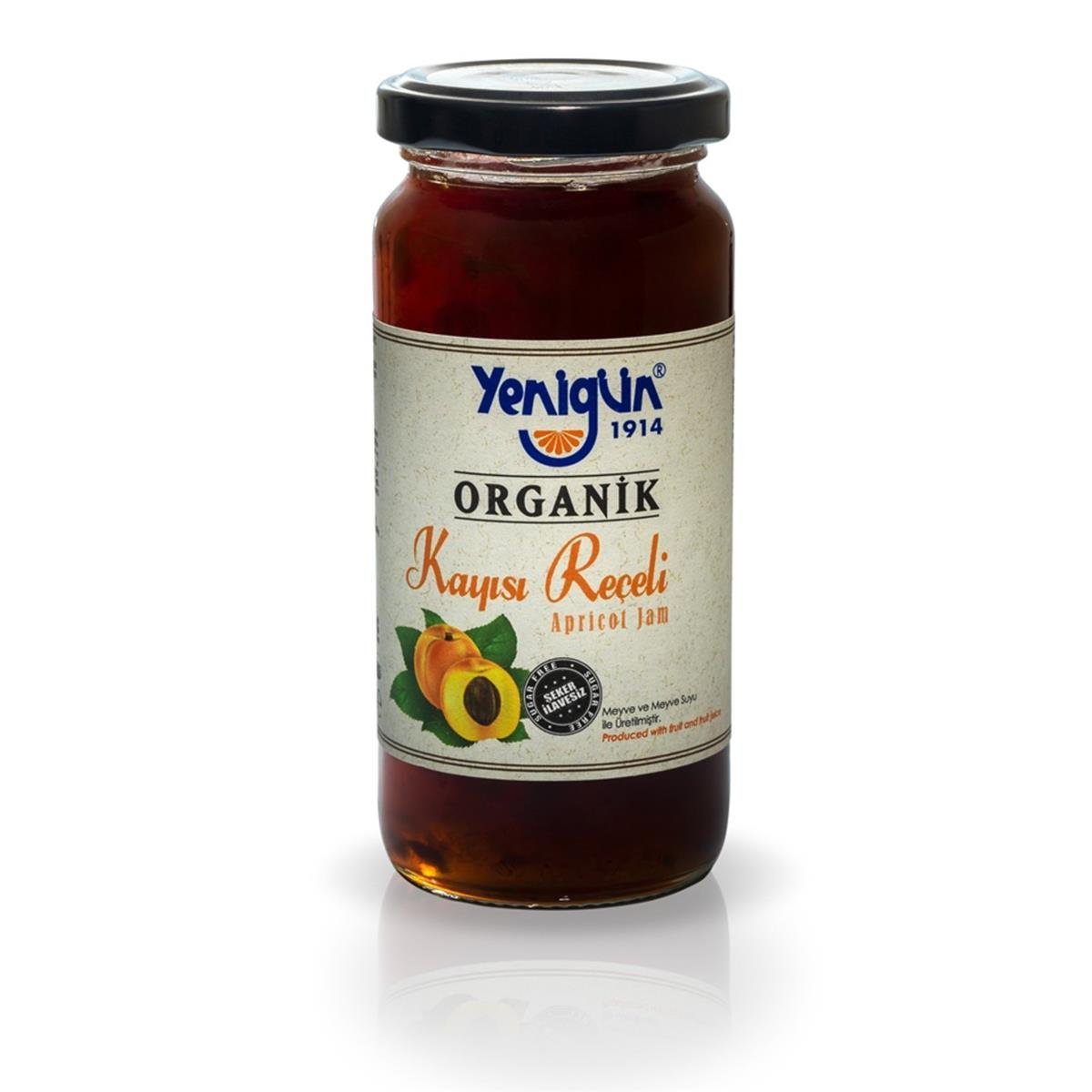 YENIGUN ORG KAYISI RECELI 290GR