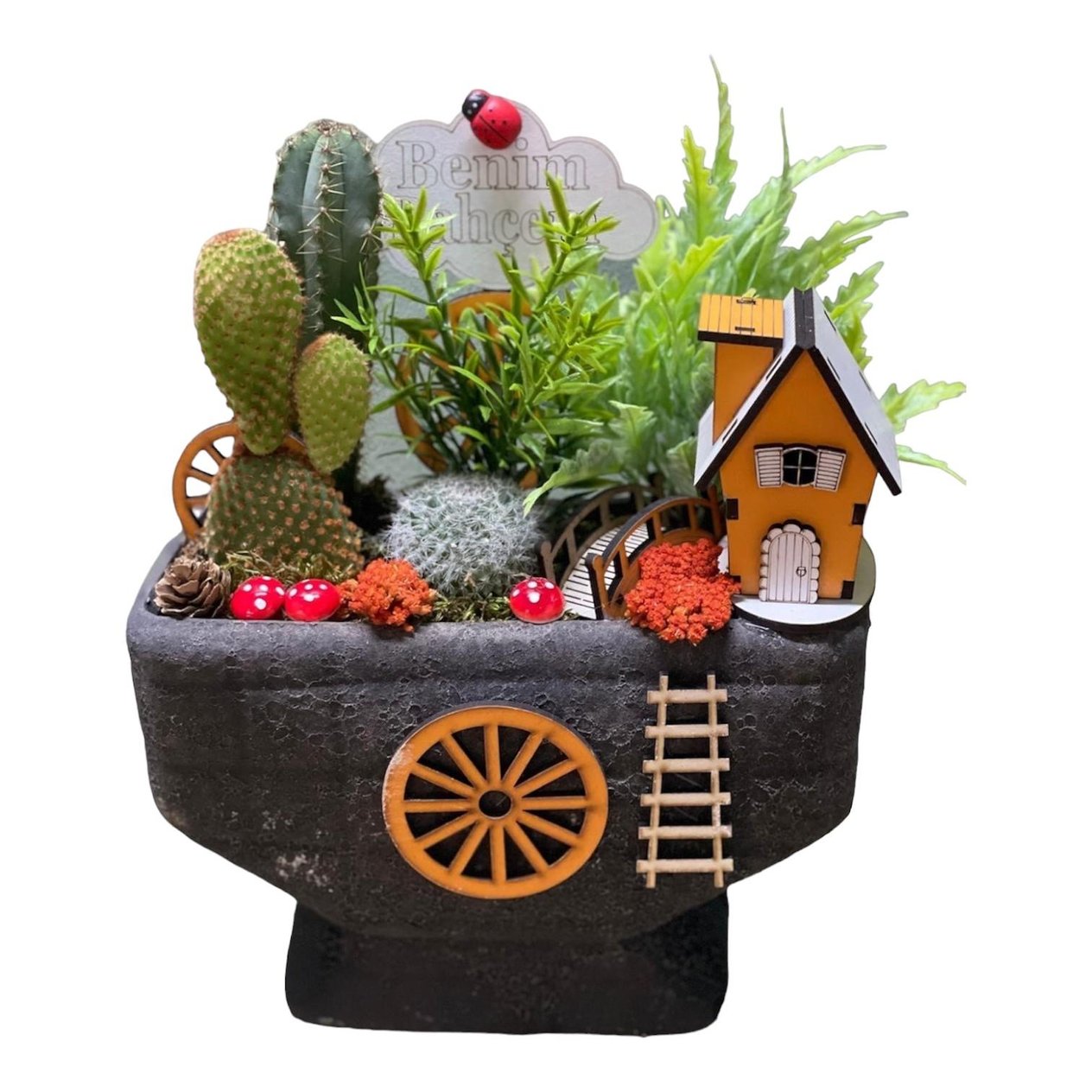 Taş Saksı Mini Botanik Bahçe 3