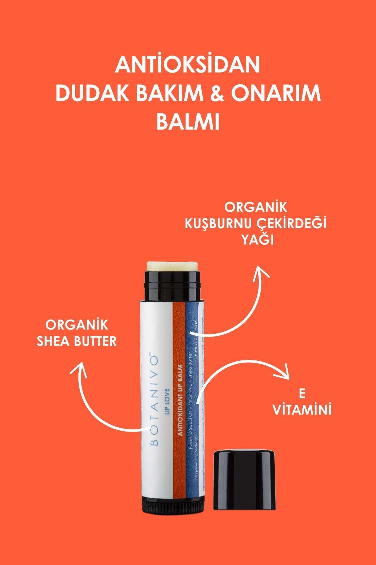 Botanivo Kaş ve Dudak Bakım Seti | Zengin Kaşlar & Bakımlı Dudaklar İçin Özel | Organik İçerikli | 2x5 ml
