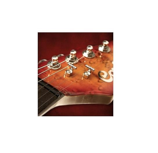 ELEKTRO G?TAR CUSTOM 