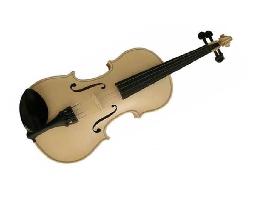 V?OLA HAM 40CM. 15.5 BEZ KUTULU+YAY+RE