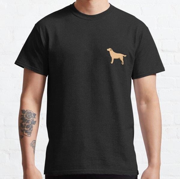 labrador-retriever-yellow-tasarim-bask-8-978d.jpg